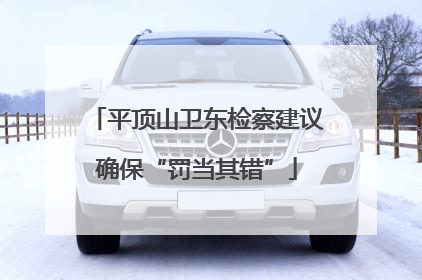 平顶山卫东检察建议确保“罚当其错”