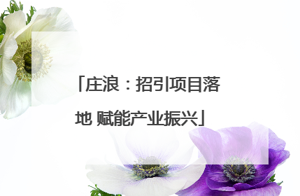 庄浪：招引项目落地 赋能产业振兴