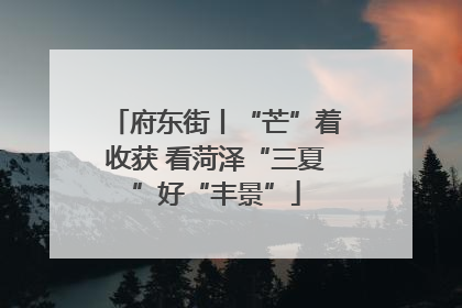 府东街丨“芒”着收获 看菏泽“三夏”好“丰景”