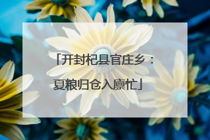 开封杞县官庄乡：夏粮归仓入廪忙