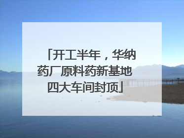 开工半年，华纳药厂原料药新基地四大车间封顶