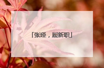张瑾，履新职