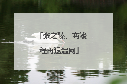 张之臻、商竣程再退温网