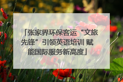 张家界环保客运“文旅先锋”引领英语培训 赋能国际服务新高度