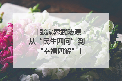 张家界武陵源：从“民生四问”到“幸福四解”