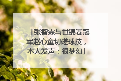 张智霖与世锦赛冠军赵心童切磋球技，本人发声：很梦幻