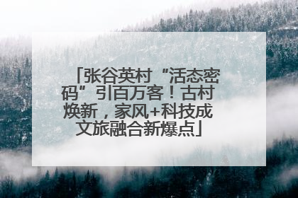 张谷英村“活态密码”引百万客！古村焕新，家风+科技成文旅融合新爆点
