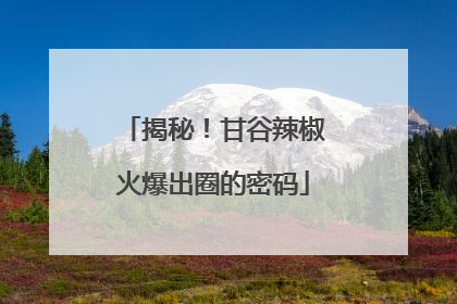 揭秘！甘谷辣椒火爆出圈的密码