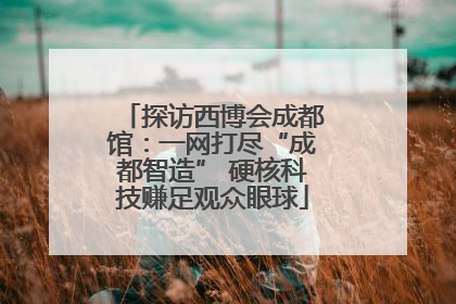 探访西博会成都馆：一网打尽“成都智造” 硬核科技赚足观众眼球