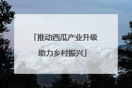 推动西瓜产业升级 助力乡村振兴