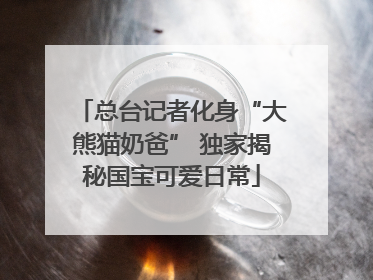 总台记者化身“大熊猫奶爸” 独家揭秘国宝可爱日常