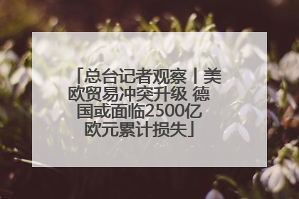 总台记者观察丨美欧贸易冲突升级 德国或面临2500亿欧元累计损失