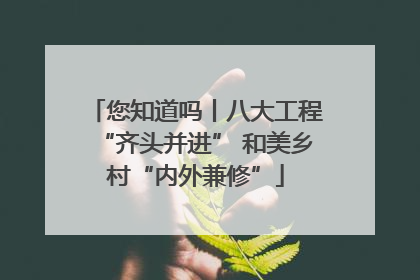 您知道吗丨八大工程“齐头并进” 和美乡村“内外兼修”