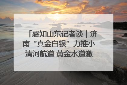 感知山东记者谈｜济南“真金白银”力推小清河航道 黄金水道激活区域经济新动能