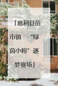 慈利县苗市镇：“绿茵小将”逐梦赛场