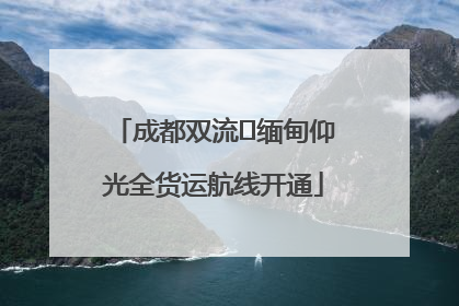 成都双流⇌缅甸仰光全货运航线开通
