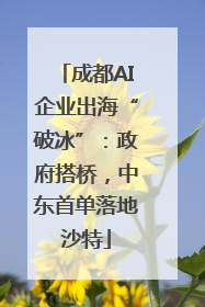 成都AI企业出海“破冰”：政府搭桥，中东首单落地沙特