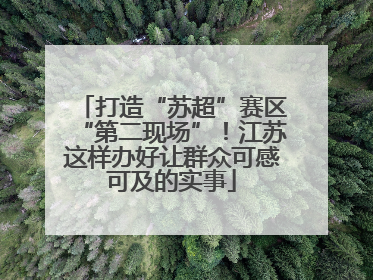 打造“苏超”赛区“第二现场”！江苏这样办好让群众可感可及的实事