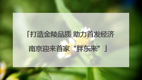 打造金陵品质 助力首发经济 南京迎来首家“胖东来”