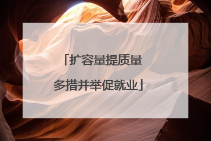 扩容量提质量 多措并举促就业