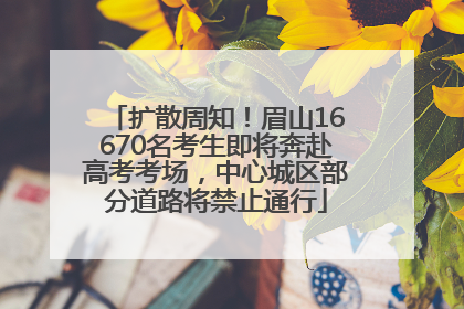 扩散周知！眉山16670名考生即将奔赴高考考场，中心城区部分道路将禁止通行