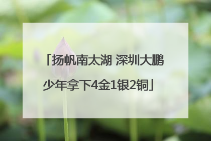 扬帆南太湖 深圳大鹏少年拿下4金1银2铜