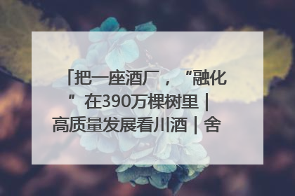 把一座酒厂，“融化”在390万棵树里｜高质量发展看川酒｜舍得酒｜舍得酒业｜舍得老酒｜沱牌酒