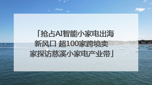 抢占AI智能小家电出海新风口 超100家跨境卖家探访慈溪小家电产业带