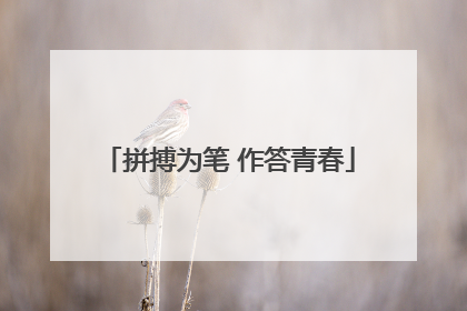 拼搏为笔 作答青春