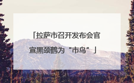 拉萨市召开发布会官宣黑颈鹤为“市鸟”