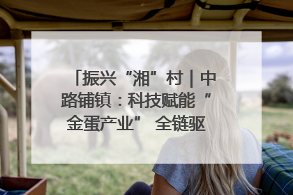 振兴“湘”村｜中路铺镇：科技赋能“金蛋产业” 全链驱动乡村振兴