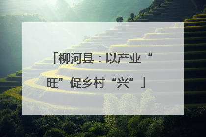 柳河县：以产业“旺”促乡村“兴”
