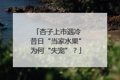 杏子上市遇冷 昔日“当家水果”为何“失宠”？