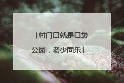 村门口就是口袋公园，老少同乐
