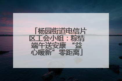 杨园街道电信片区工会小组：粽情端午送安康 “益心暖新”零距离