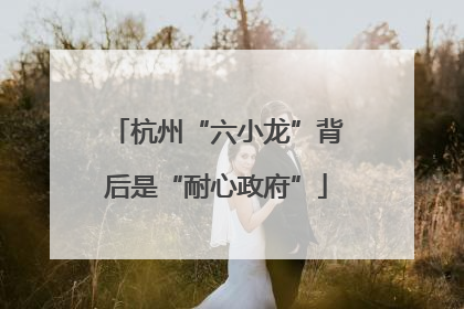 杭州“六小龙”背后是“耐心政府”