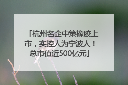 杭州名企中策橡胶上市，实控人为宁波人！总市值近500亿元