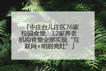 枣庄台儿庄区76家校园食堂、12家养老机构食堂全部实现“互联网+明厨亮灶”