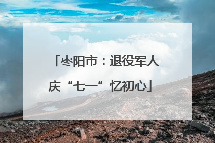 枣阳市：退役军人庆“七一”忆初心