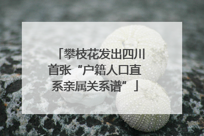 攀枝花发出四川首张“户籍人口直系亲属关系谱”