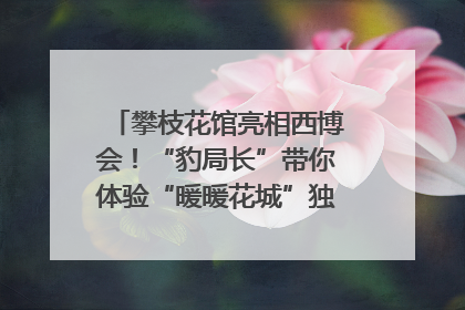 攀枝花馆亮相西博会！“豹局长”带你体验“暖暖花城”独特魅力｜西博视界