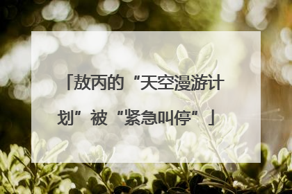 敖丙的“天空漫游计划”被“紧急叫停”