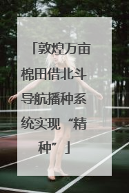 敦煌万亩棉田借北斗导航播种系统实现“精种”