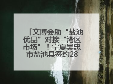 文博会助“盐池优品”对接“湾区市场”！宁夏吴忠市盐池县签约28.44亿元