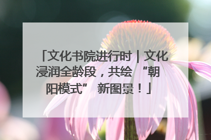 文化书院进行时｜文化浸润全龄段，共绘 “朝阳模式” 新图景！
