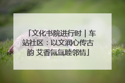 文化书院进行时｜车站社区：以文润心传古韵 艾香氤氲睦邻情
