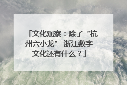 文化观察：除了“杭州六小龙” 浙江数字文化还有什么？