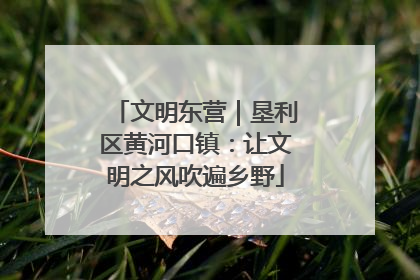文明东营｜垦利区黄河口镇：让文明之风吹遍乡野