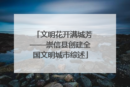 文明花开满城芳——崇信县创建全国文明城市综述
