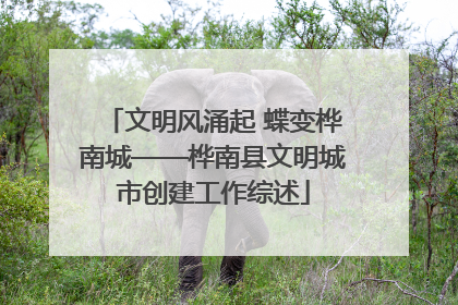 文明风涌起 蝶变桦南城——桦南县文明城市创建工作综述